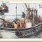 C1595 - Anglia 1981 - carte maxima