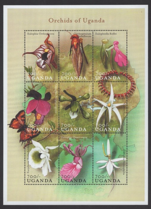 UGANDA 2000 FLORI ORHIDEE SI FLUTURI - 4 FOTO