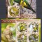 Sierra Leone 2016 - Pasari - CUCKOOS - Sh + S.S. - MNH