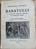 Ion Pasarica - Frumusetile naturale ale Banatului cu localitatile climatice-balneare si cataractele Dunarii (cu dedicatia autorului)