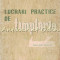 Lucrari Practice De Tamplarie - V. Constantinescu, I. Cristea