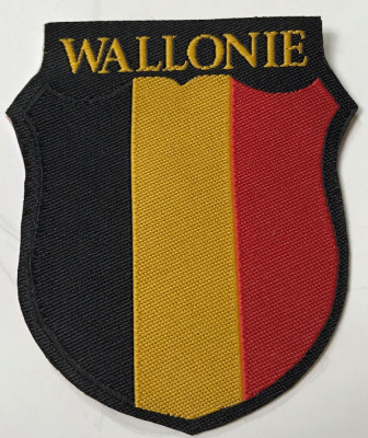 WW2 Ecuson German 28 SS Waffen Wallonie Divizion foto