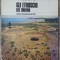 Gli Etruschi del Tirreno - Dino Terra, Guglielmo Maetzke