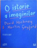 David Hockney - O Istorie a Imaginilor Gombrich Panofsky Riegl Eco Berger 310 il, 2017