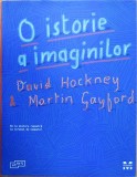 David Hockney - O Istorie a Imaginilor Gombrich Panofsky Riegl Eco Berger 310 il