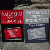 MATEMATICI PENTRU ECONOMISTI , GHEORGHE CENUSA , VOL 1 SI 2