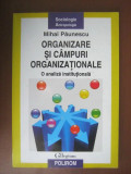 Mihai Paunescu - Organizare si campuri organizationale