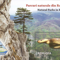 Romania 2018 - Parcuri naturale, colita neuzata