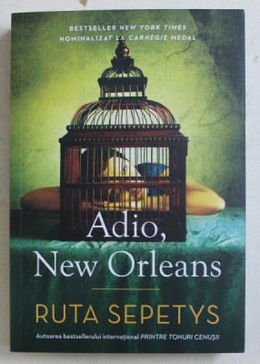 ADIO , NEW ORLEANS de RUTA SEPETYS , 2019 foto
