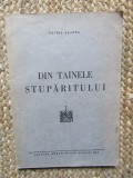 DIN TAINELE STUPARITULUI - GAVRIL BRANEA