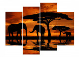 Cumpara ieftin Tablou multicanvas 4 piese Elefanti 2, 120 x 90 cm