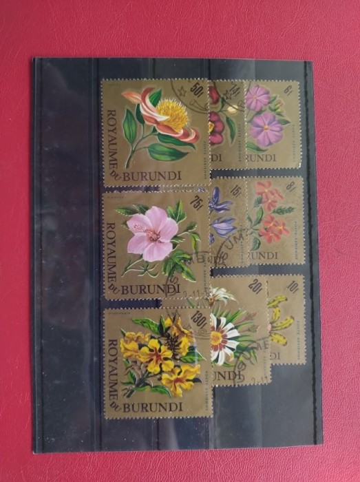 BURUNDI - FLORI