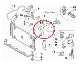 Furtun radiator Fiat Idea 202011, Punto 20, Punto 192003; Lancia Musa 202012, Y 202011, diametru 25/25 mm, cauciuc, superior, RapidAuto 3044PW-1