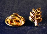 Insigna masonica "Acacia"