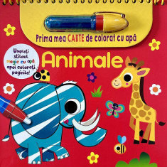 Animale Prima Mea Carte De Colorat Cu Apa, - Editura Flamingo