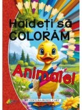 Cumpara ieftin Haideti sa coloram animale!/Nicoleta Ionescu