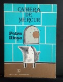Camera de mercur - Petru Ilieșu