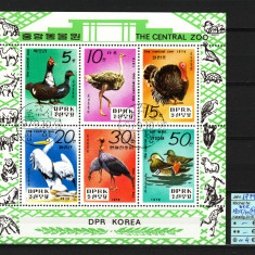 Coreea Nord, 1979 | Grădina Zoologică Centrală - Animale | Bloc /Minisheet | aph