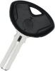 Cheie cu Locas Cip Motocicleta BMW, Negru AutoProtect KeyCars, Oem