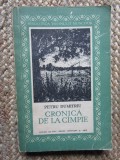 Cronica de la campie Petru Dumitriu