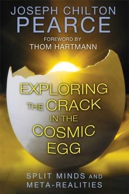 Exploring the Crack in the Cosmic Egg: Split Minds and Meta-Realities foto
