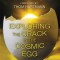 Exploring the Crack in the Cosmic Egg: Split Minds and Meta-Realities