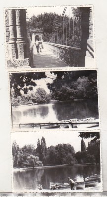 bnk foto - Craiova 1975 - lot 3 fotografii foto
