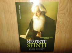 NESFINTII SFINTI SI ALTE POVESTIRI -ARHIMANDRITUL TIHON(SEVKUNOV) ANUL 2013 foto