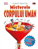 Misterele corpului uman. Enciclopedie pentru elevi | Robert Winston, Litera