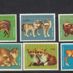 ROMANIA 1972 LP 785 FAUNA PUI DE ANIMALE SERIE MNH