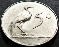 Moneda exotica 5 CENTI - AFRICA de SUD, anul 1965 *cod 4626 = A.UNC