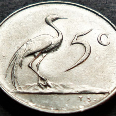 Moneda exotica 5 CENTI - AFRICA de SUD, anul 1965 *cod 4626 = A.UNC