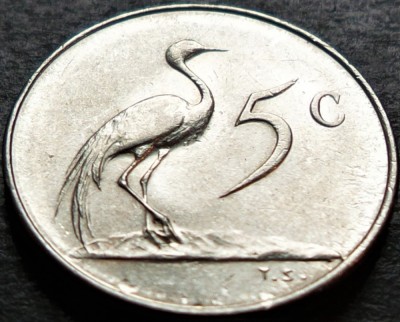 Moneda exotica 5 CENTI - AFRICA de SUD, anul 1965 *cod 4626 = A.UNC foto