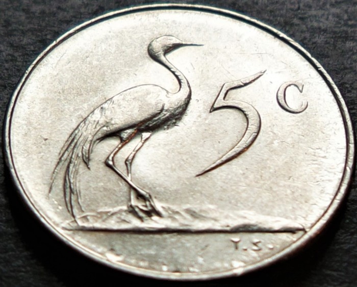 Moneda exotica 5 CENTI - AFRICA de SUD, anul 1965 *cod 4626 = A.UNC