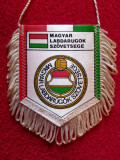 Fanion fotbal - Federatia de Fotbal din UNGARIA