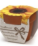 Greengift Terracotta Terracotta Sunflower Kit Gradinarit