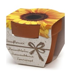Greengift Terracotta Terracotta Sunflower Kit Gradinarit