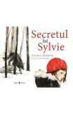 Secretul lui Sylvie - Andrea Debbink