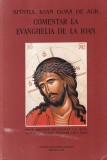 Sfantul Ioan Gura de Aur - Comentar la Evanghelia de la Ioan