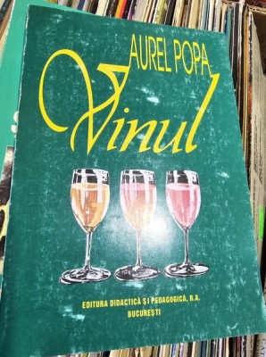 Vinul - Aurel Popa foto
