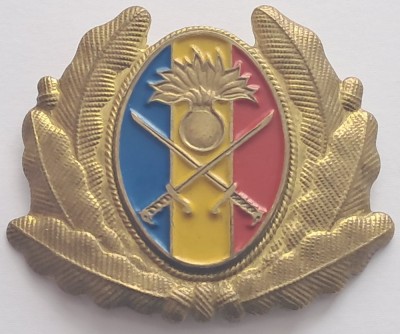 Insigna militara ofiter foto