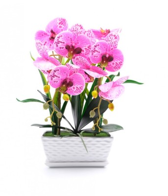 Flori ghiveci 45x21x11cm foto