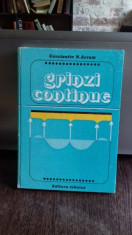 GRINZI CONTINUE - CONSTANTIN N. AVRAM foto