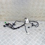 Cablaj ușă st&acirc;nga față MERCEDES-BENZ B-CLASS Sports Tourer W247 2019 OEM: A1775409610 20168179