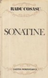 Sonatine - Portrete, schite, fragedii - Radu Cosasu, Cartea Romaneasca - Roman