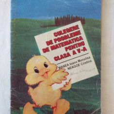 I. M. Manea C. Neagoe - Culegere de probleme de matematica pentru clasa a V-a (pui)