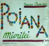 Traian Oancea - Poiana mioritei