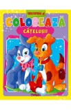 Descopera si coloreaza catelusii