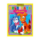 Descopera si coloreaza catelusii