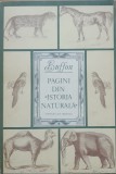 Pagini Din Istoria Naturala - Buffon (1981)